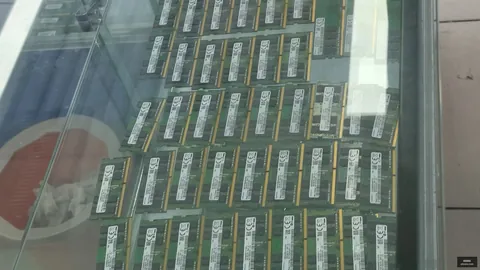 春季赛逆势翻盘，紧咬比分