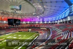 看不懂盘口？世界杯新手必学的让球盘与大小球基础教学